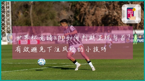 世界杯竞猜app如何判断正规与否？有效避免下注风险的小技巧
