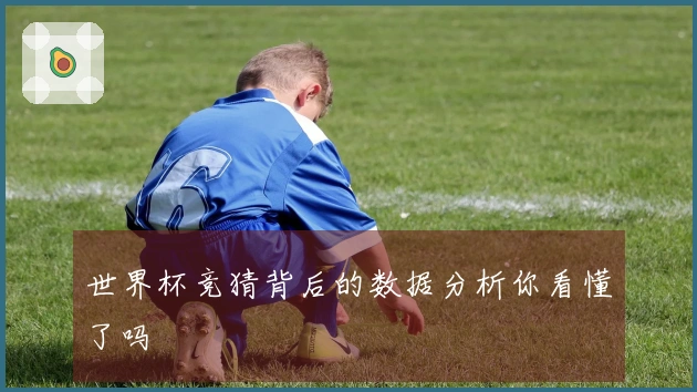 世界杯竞猜背后的数据分析你看懂了吗