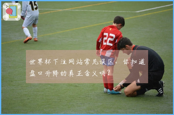世界杯下注网站常见误区，你知道盘口升降的真正含义吗？