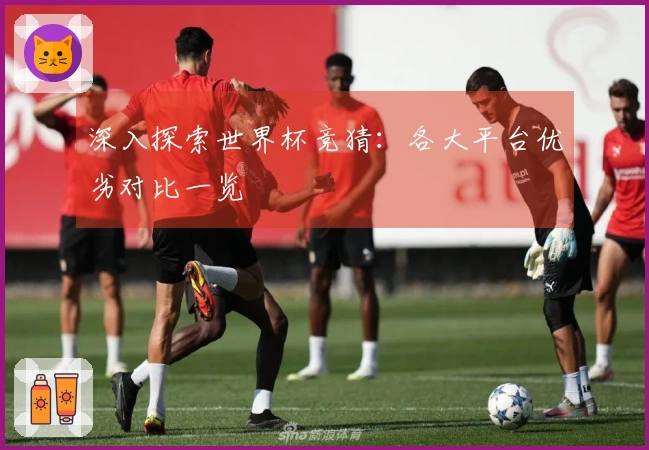 深入探索世界杯竞猜：各大平台优劣对比一览