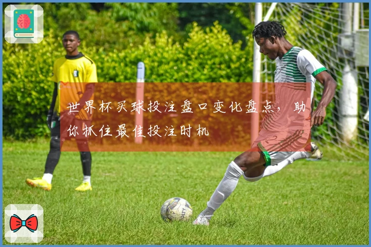 世界杯买球投注盘口变化盘点，助你抓住最佳投注时机
