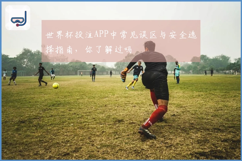 世界杯投注APP中常见误区与安全选择指南，你了解过吗