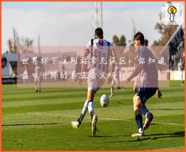 世界杯下注网站常见误区，你知道盘口升降的真正含义吗？