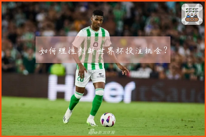 如何理性判断世界杯投注机会？