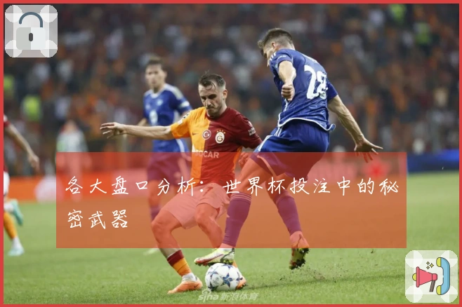 各大盘口分析:世界杯投注中的秘密武器
