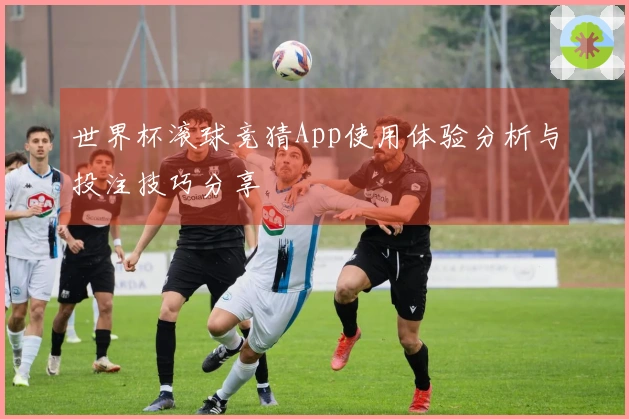 世界杯滚球竞猜App使用体验分析与投注技巧分享
