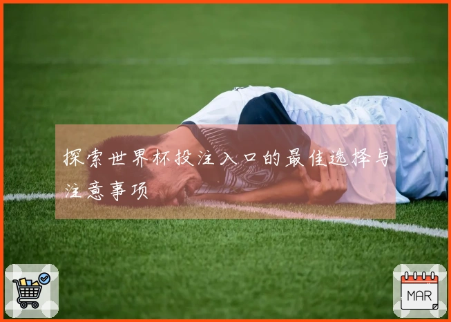 探索世界杯投注入口的最佳选择与注意事项