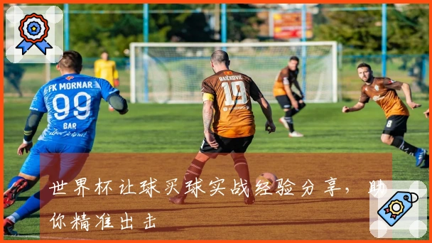 世界杯让球买球实战经验分享，助你精准出击