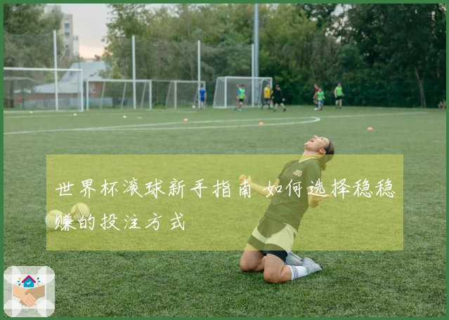 世界杯滚球新手指南 如何选择稳稳赚的投注方式