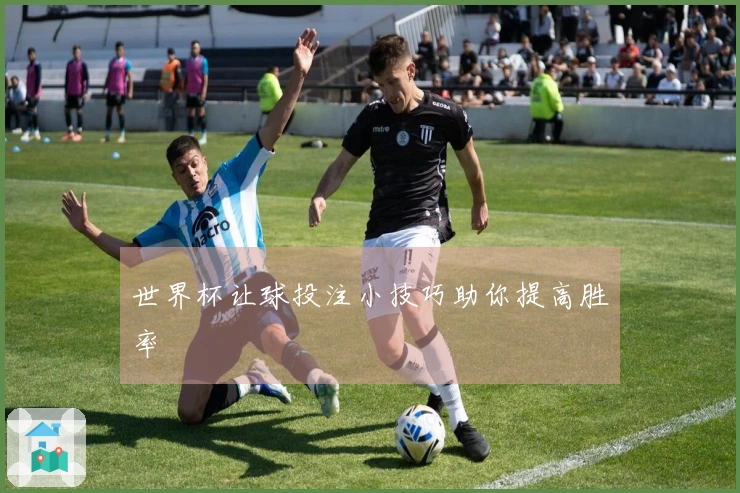世界杯让球投注小技巧助你提高胜率