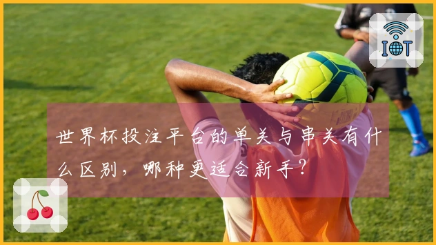 世界杯投注平台的单关与串关有什么区别，哪种更适合新手？