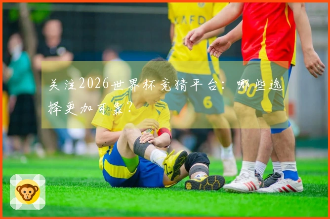 关注2026世界杯竞猜平台：哪些选择更加可靠？