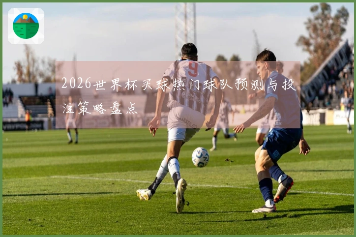 2026世界杯买球热门球队预测与投注策略盘点