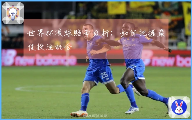 世界杯滚球赔率分析：如何把握最佳投注机会