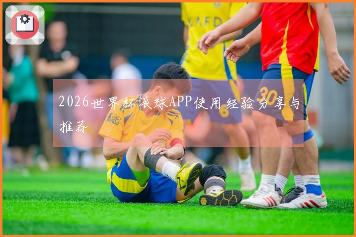 2026世界杯滚球APP使用经验分享与推荐