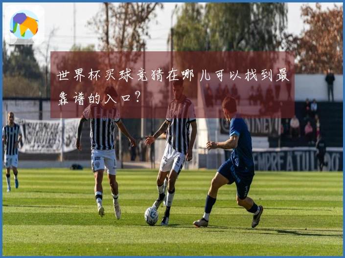 世界杯买球竞猜在哪儿可以找到最靠谱的入口?