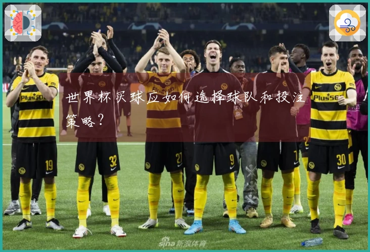 世界杯买球应如何选择球队和投注策略？