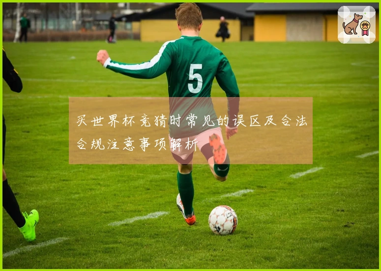 买世界杯竞猜时常见的误区及合法合规注意事项解析
