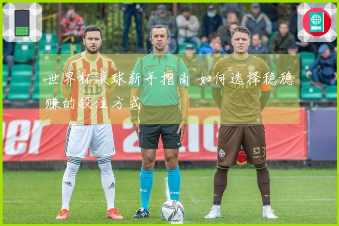 世界杯滚球新手指南 如何选择稳稳赚的投注方式
