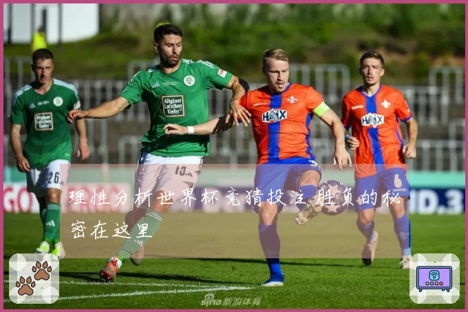 理性分析世界杯竞猜投注 胜负的秘密在这里