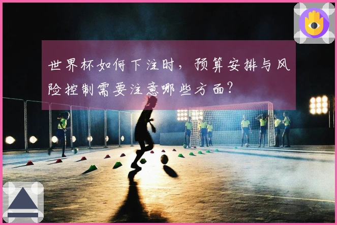 世界杯如何下注时，预算安排与风险控制需要注意哪些方面？