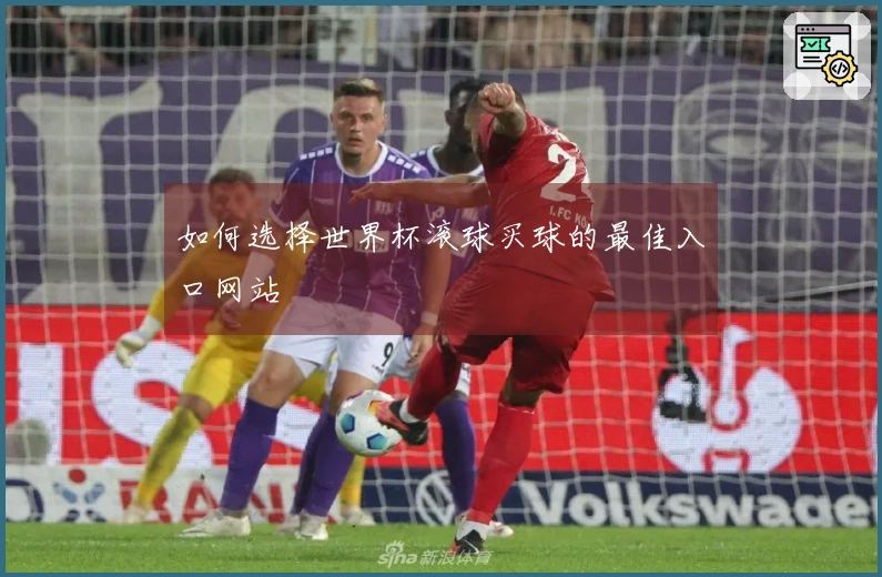 如何选择世界杯滚球买球的最佳入口网站