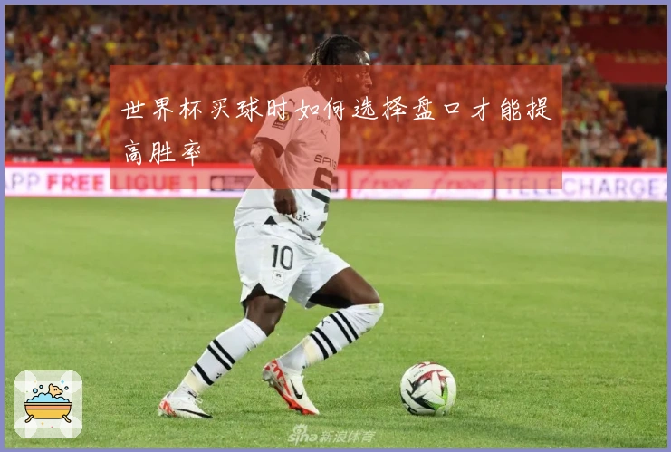 世界杯买球时如何选择盘口才能提高胜率