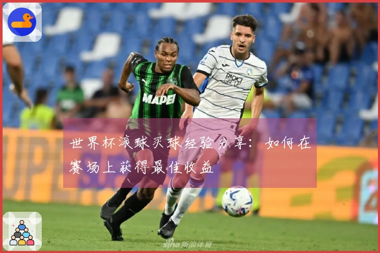 世界杯滚球买球经验分享：如何在赛场上获得最佳收益