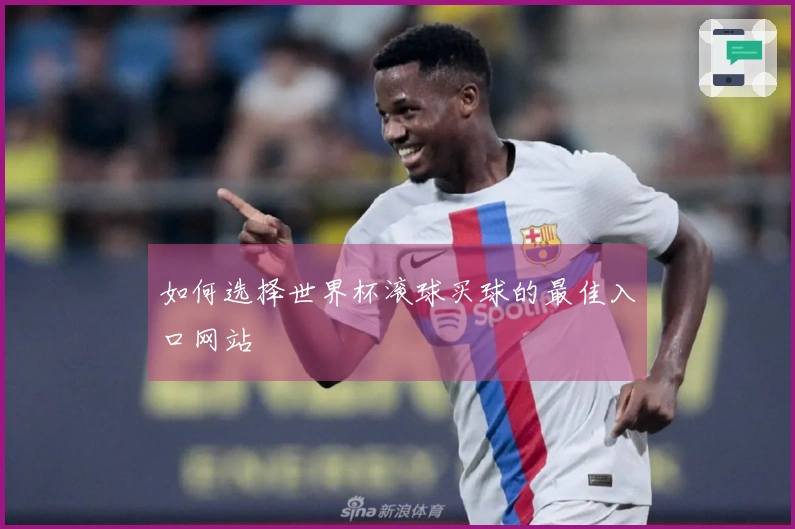 如何选择世界杯滚球买球的最佳入口网站
