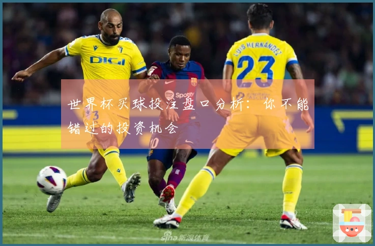 世界杯买球投注盘口分析：你不能错过的投资机会