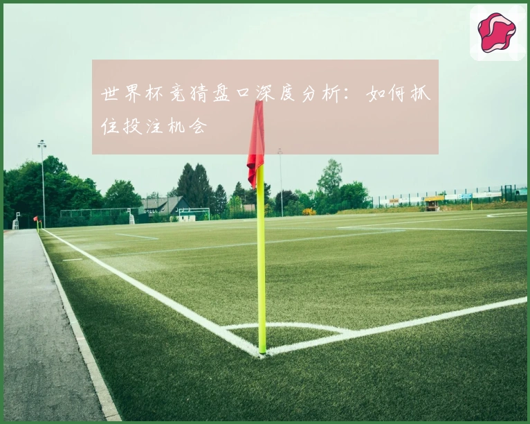 世界杯竞猜盘口深度分析：如何抓住投注机会