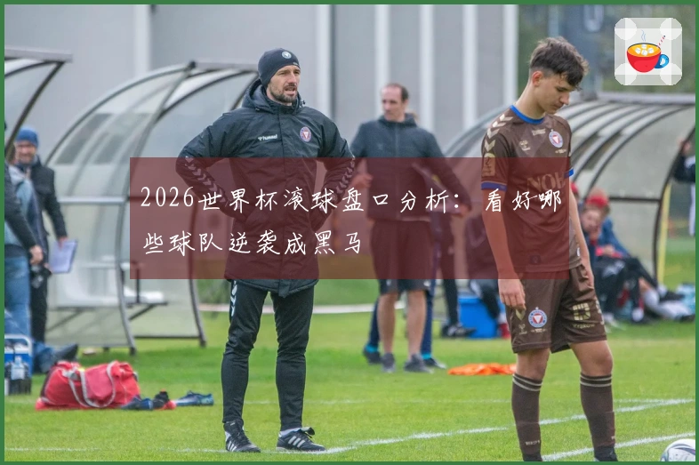 2026世界杯滚球盘口分析：看好哪些球队逆袭成黑马