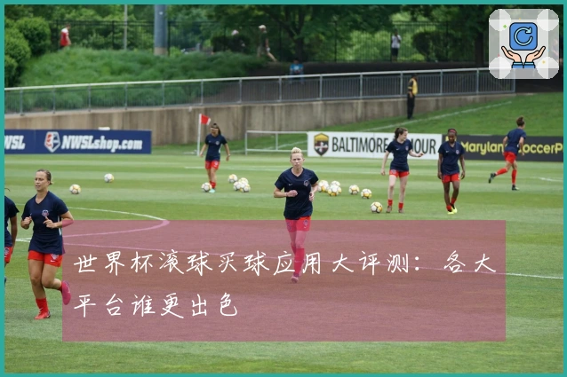世界杯滚球买球应用大评测：各大平台谁更出色